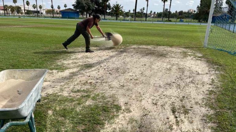 Avanzan los trabajos de resiembra en el Campo Pepe Ravelo